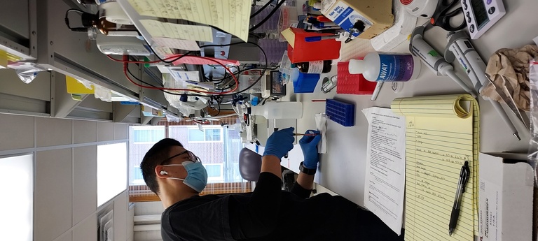A person in a mask working on a lab desk