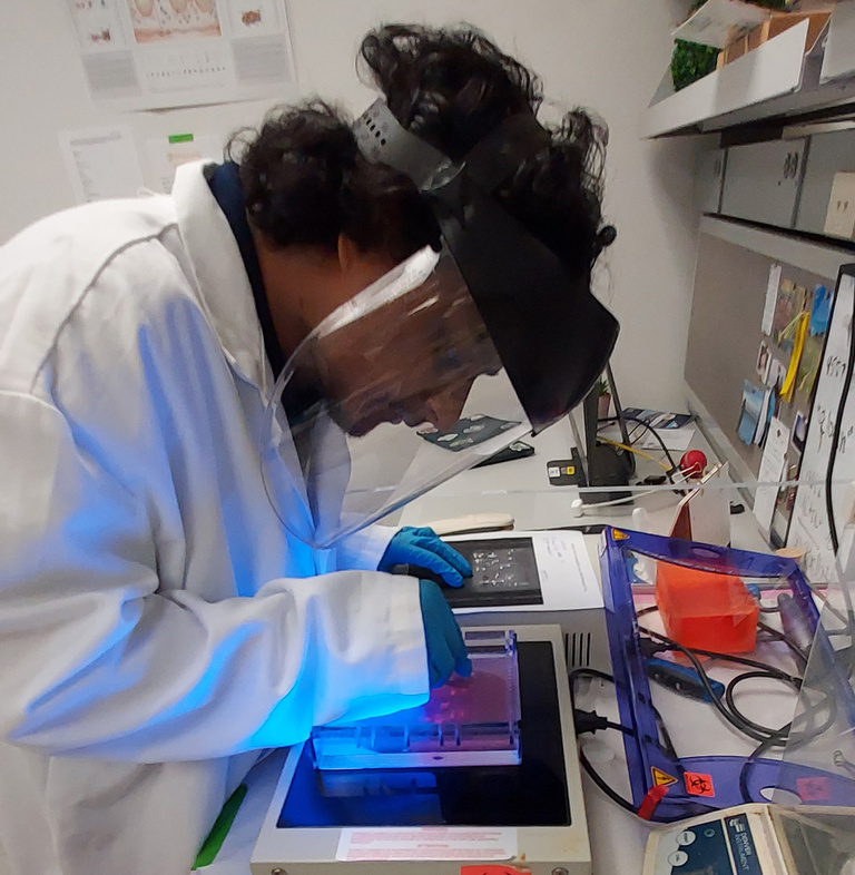 Person looking at lab equipment