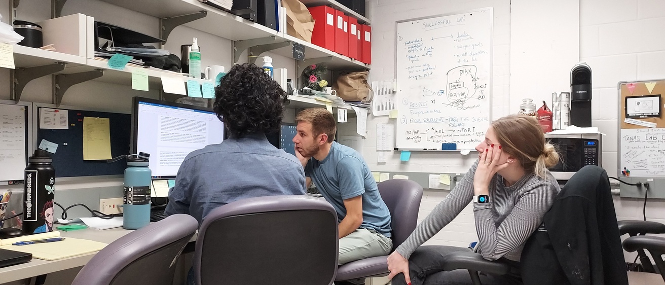 Two people looking at a computer